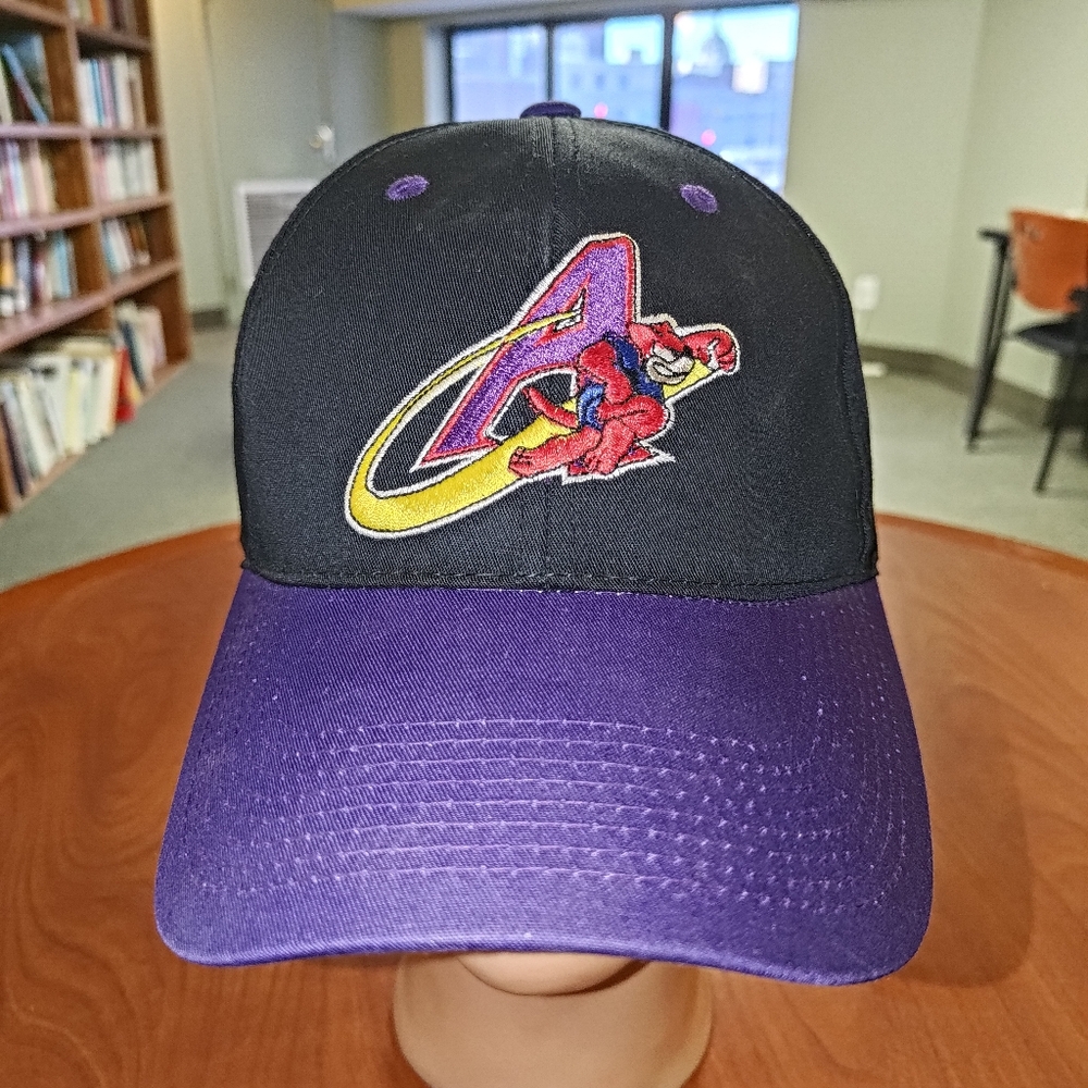 MiLB Akron Aeros Embroidered Logo Black Purple Snapback Hat Cap OSFM